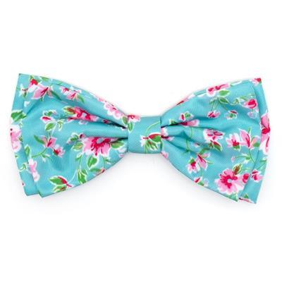 Teal dog bow tie with colorful flower pattern on white background