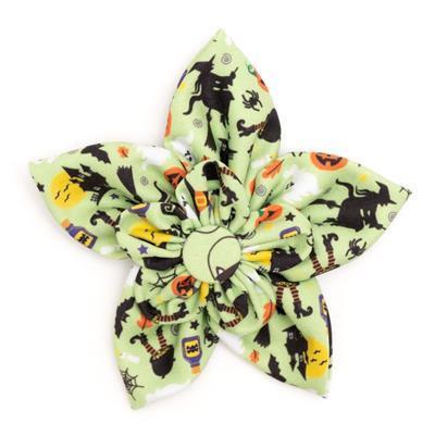 Halloween-themed collar bow with black cats, pumpkins, and ghosts on a light green background.