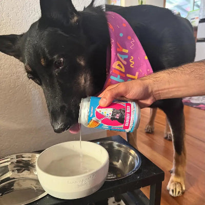 Dog drinking from a bowl with a person pouring milk, wearing a colorful 'Happy Birthday' bandana.