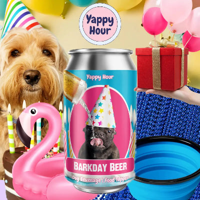 Dog-themed 'Barkday Beer' can with birthday hat, cake, and balloons on a colorful background.