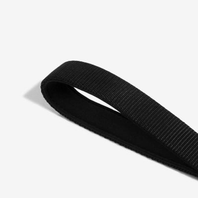 Black leash handle on a light gray background
