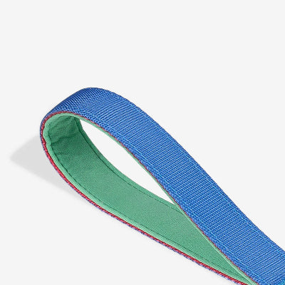 Close-up of a blue and green leash handle on a light gray background