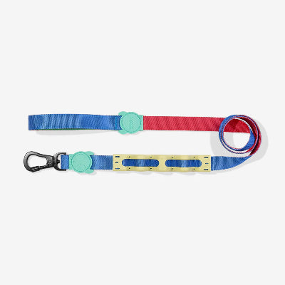 Colorful dog leash with a clip on a white background