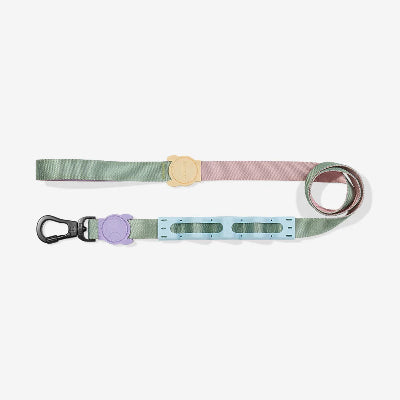 Dog leash with colorful clip on a white background