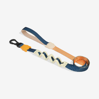 Dog leash with blue, beige, and orange design on a white background