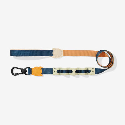 Dog leash with blue and brown sections on a white background