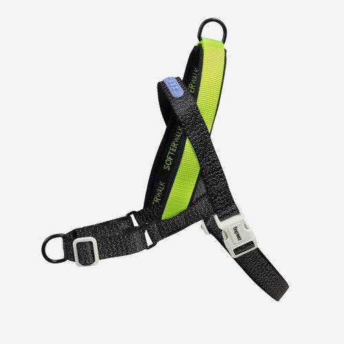 Dog harness with green accents on a white background