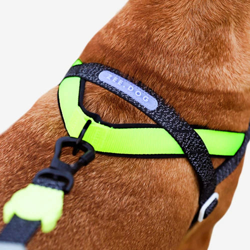 A close-up of a brown dog wearing a bright neon yellow-green and black reflective harness with a matching leash clip. The brand name 'THE DOG' is visible on a reflective strap.