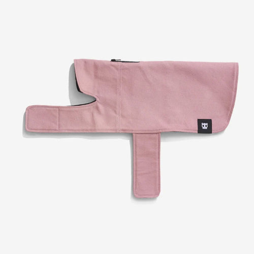 Everyday Dog Coat.
