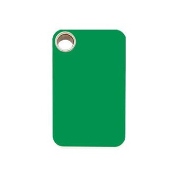 Red Dingo Green Rectangle Flat Plastic Pet ID Tag.