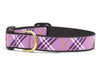 Up Country Lavender Lattice Dog Collar