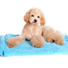 Blanket Dog Bed.