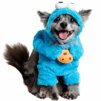 Cookie Monster Costume.