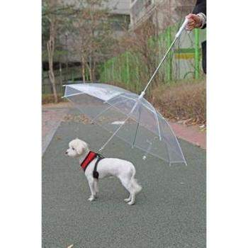 Dog Umbrella Leash.