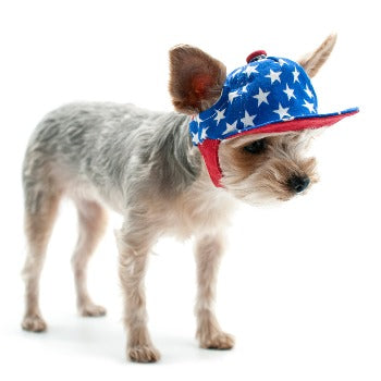 Star Hat.