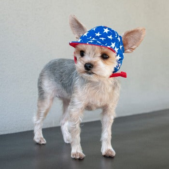 Star Hat.