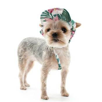 Tropical Island Hat.