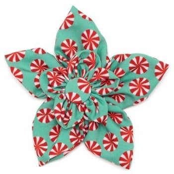 Peppermints Collar Flower.