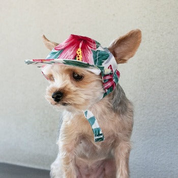 Tropical Island Hat.