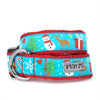 Winter Wonderland Collar & Leash.