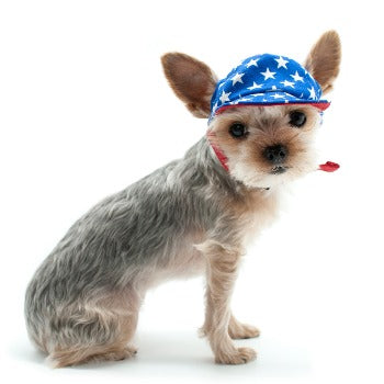 Star Hat.