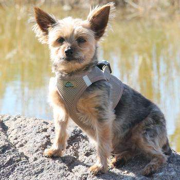 American River Ultra Choke Free Dog Harness - Fossil Brown.