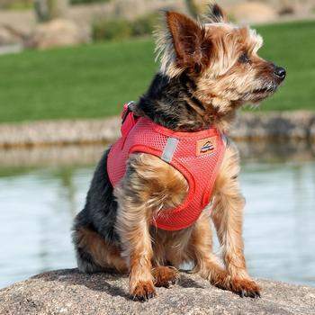 American River Ultra Choke Free Dog Harness - Coral.