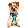 American River Ombre Choke-Free Dog Harness - Northern Lights.