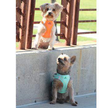 American River Ultra Choke Free Dog Harness - Teal.