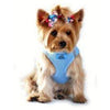 American River Ultra Choke Free Dog Harness - Light Blue.