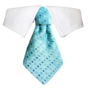 Pooch Outfitters Adrian Shirt Collar & Dog Tie | Paws & Purrs