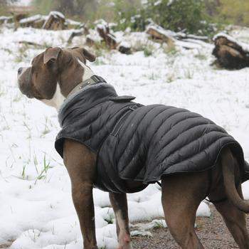 Alpine Extreme Weather Puffer Dog Coat - Black.