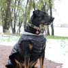 Alpine Extreme Weather Puffer Dog Coat - Black.