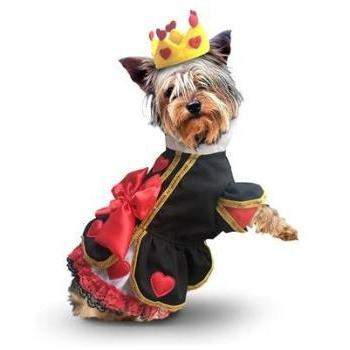 Alpine Boy Pet Dog Costume