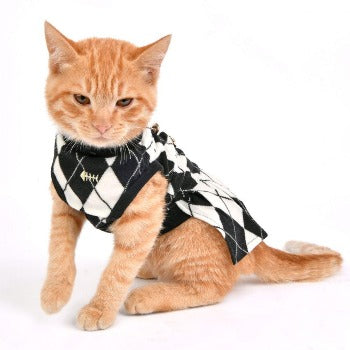 Binx Cat Dress.