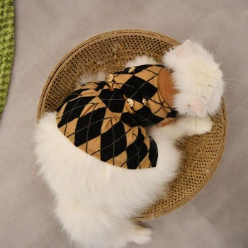 Binx Cat Dress.