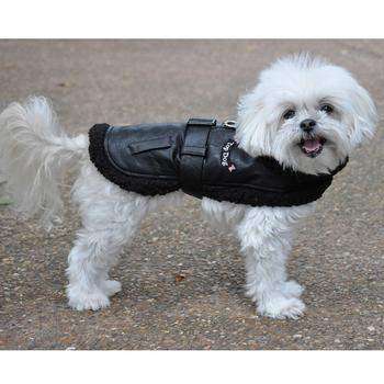 Top Dog Flight Harness Coat - Black.