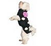 Chilly Dog Black Polka Dot Dog Sweater-Paws & Purrs Barkery & Boutique
