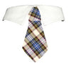 Blake Shirt Collar & Tie.