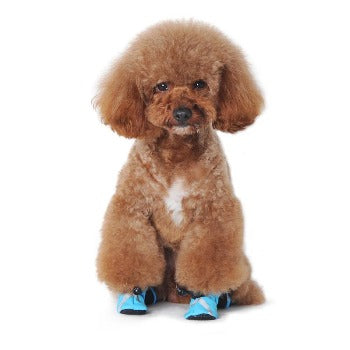 Slip On Paws V.