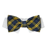 Pooch Outfitters Bruce Shirt Collar & Bow Tie.