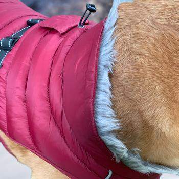 Alpine Extreme Weather Puffer Dog Coat - Burgundy.