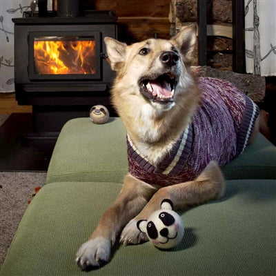 Cabin Dog Sweater.