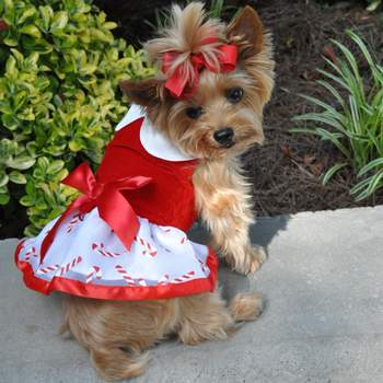 Candy Canes Holiday Dog Harness Dress