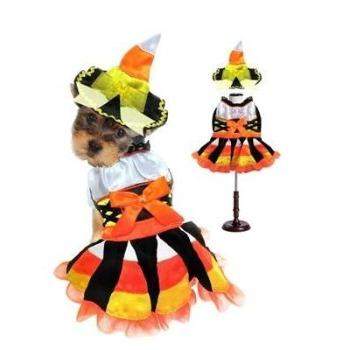 Halloween Candy Corn Witch Costume.