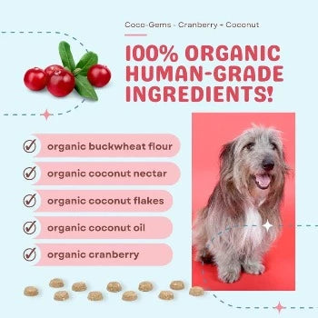 CocoTherapy Coco-Gems Training Treats Cranberry + Coconut