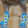 Blue and Green Argyle Non-Skid Dog Socks.