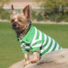 Striped Dog Polo Shirt - Greenery and White.