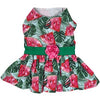Juicy Watermelon Harness Dress w/Matching Leash