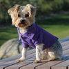 Solid Dog Polo Shirt - Ultra Violet.